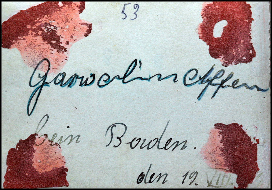 Generalgouvernement Sonderdienst - Distrikt Warschau - Garwolin, Poland 1939 - 1941