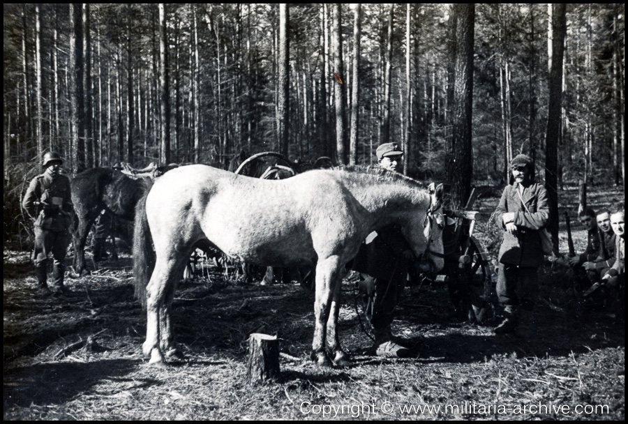 SS-Pol.Rgt.2 “Rußland Mitte”