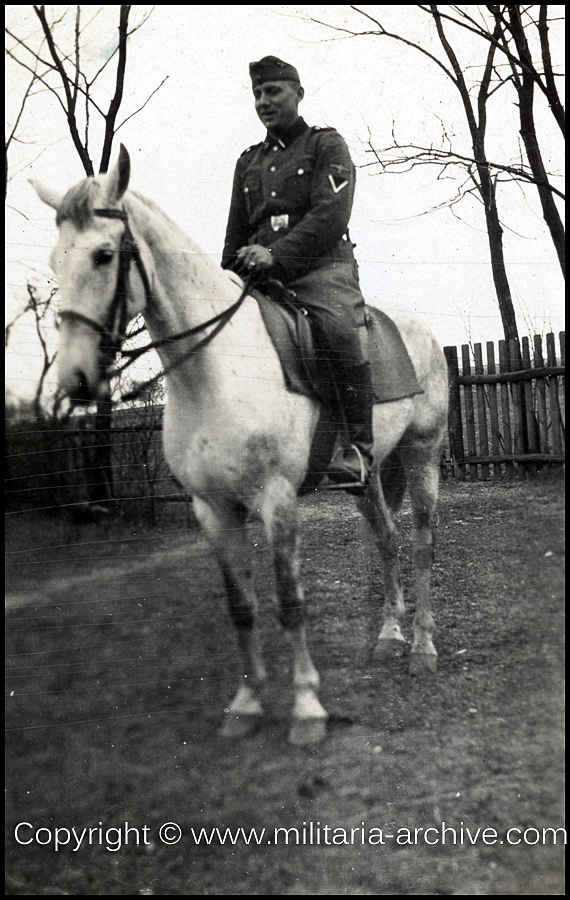 SS-Polizei Division, Artillery Leningrad.