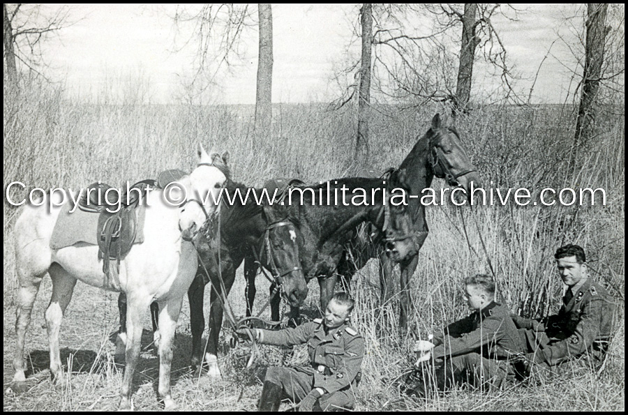 Assorted images believed Einsatzgruppe-B, Sonderkommando 7