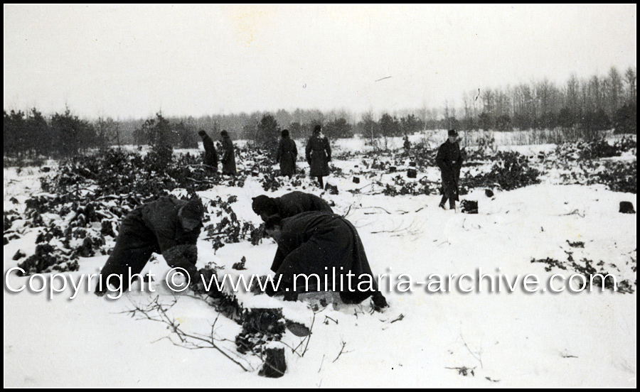 Assorted images believed Einsatzgruppe-B, Sonderkommando 7. Russian prisoners.